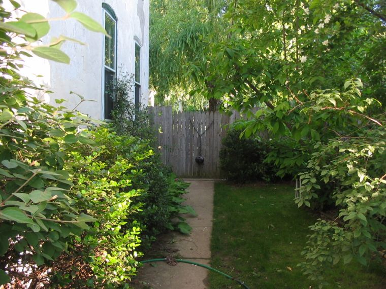 Side Yard