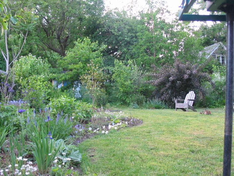 Garden from left perspective